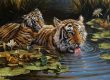 'Dorothy's Tigers' by Michael Jackson