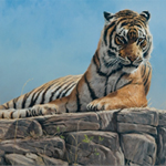ANIMALIA