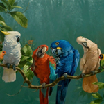 EXOTIC BIRDS
