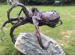 Garden sculpture by Michael Jackson